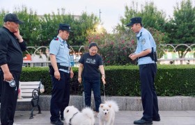 小细节见大文明  冰城公安用心破解养犬“烦心事”