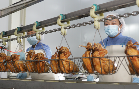 德州扒鸡哪家正宗？凤起牌扒鸡三十年传承技艺成行业新宠