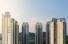 产品主义重塑深圳格局,龙华金茂府首开劲销37.2亿!