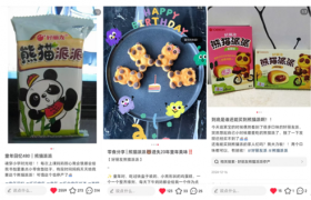 友瞰中国 | 好丽友闫宇菲：经典款意味着现金流和利润，创新产品主动“互食”或可抢占未来