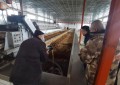 哈尔滨市公安局双城分局经侦大队走访  老字号名优企业 助力优化营商环境