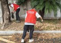 世界地球日：守护绿色家园 东阳平安产险在行动