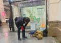 女子火车站突发低血糖晕倒 南岗分局民警巡逻中及时救助获感谢