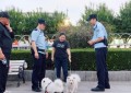 小细节见大文明  冰城公安用心破解养犬“烦心事”