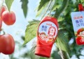 南方+“金牌莞味”深度揭秘：东莞番茄酱品牌凤球唛何以持续走俏全国？