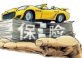 网上可以交车辆保险吗，需要注意什么问题